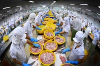 thuc day quang ba hinh anh va thuong mai mat hang ca tra