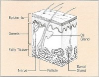 7 dau hieu canh bao ung thu da khong the bo qua