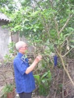 bac ho va duc can kiem liem chinh