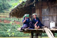 vnpt danh uu dai lon phat trien chinh quyen va cong chuc dien tu