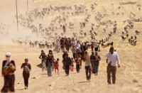 au 2500 phan tu is tu syria va iraq toi khu vuc sahel