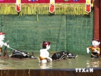 tai sao nguoi nuoc ngoai thich roi nuoc viet nam