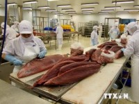 tin nhap 20170904233813