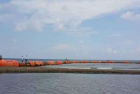 coc can phai som chao doi