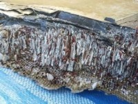 bao cao cua fbi khong giup xac dinh vi tri mh370 roi