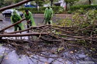 da i loan chat vat chong choi voi sieu bao nepartak