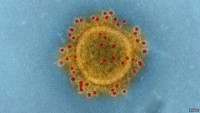 virus mers co kha nang lay lan cuc manh