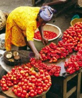 trao giay phep mo van phong thuong tru dai truyen hinh phuong hoang