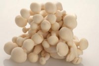 13 dan so the gioi qua beo hoac qua gay