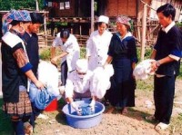 dich sot xuat huyet chua tung co o sri lanka lam 300 nguoi chet