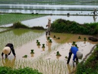 tin nhap 20170303223541