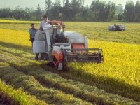 nhan loai da dung het luong tai nguyen ma trai dat co the dap ung