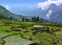 italy hoan tien cho du khach neu troi mua