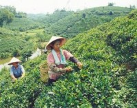 kham pha santorini o morocco