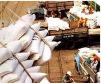 gia gao an do cham muc cao nhat cua 9 thang do nhu cau phuc hoi