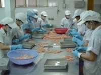 nen mem hoa quy dinh gio lam viec o viet nam