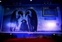 viet nam phat dong tuan le bao ton voi