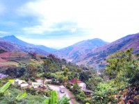 hon 54 ti dong de phat trien van hoa cac dan toc thieu so