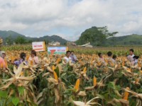 tre em va he qua khong ngo tu viec dung thiet bi cong nghe qua nhieu