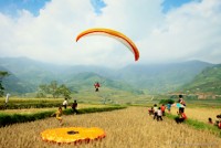 Bay cao với ước mơ thoát nghèo