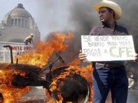 bo nafta se khien nhieu nguoi that nghiep