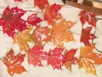 10 dia danh ngam la vang mua thu tuyet dep o nhat ban