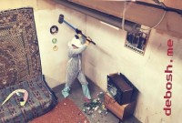 stress den quen ca chong