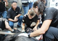 sieu mau thuy hang keu goi cong dong khong dung mat gau