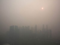 chinh phu yeu cau lam ro mot so vu pha rung chay rung