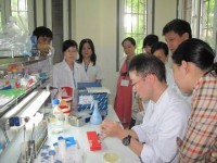 adb va jica hop tac cai thien an ninh y te tai chau a thai binh duong