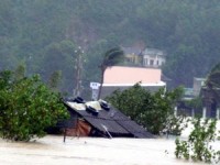 ung pho bao so 9 khan truong keu goi 3855 tau ra khoi khu vuc nguy hiem