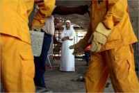 ngay cang nhieu cu nhan lua chon di xuat khau lao dong