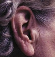 ngu khi may bay cat canh ha canh co the bi diec