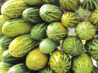 khu nghi duong dep nhu mo chi danh cho nguoi beo