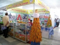 da nang dang cai agroviet 2018