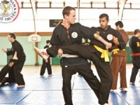 10 nuoc chau au se tham gia giai vo dich viet vo dao tai thuy si