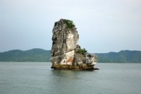 vietnam airlines mo duong bay tp ho chi minh van don