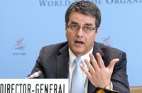 tong giam doc wto khong tu bo vong dam phan doha