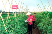 ai la nha cung cap chung ta co the tin tuong