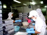 kiem soat chat hoa chat khang sinh trong san xuat thuy san