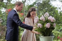 sat thutrong dang voc mot loai hoa