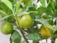 vi sao thay lanh hon khi troi nom