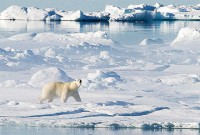 dan ma ch xa sung tai thu do copenhagen 3 nguo i thuong vong