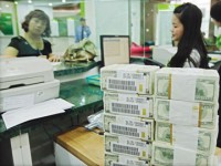 diem sang kieu hoi nam 2019 ich nuoc loi nha