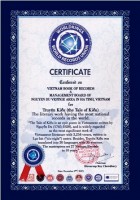 lao luong y nhat loi truyen kieu