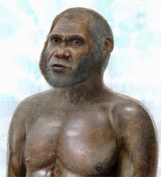 bien doi khi hau da xay ra tu thoi co dai