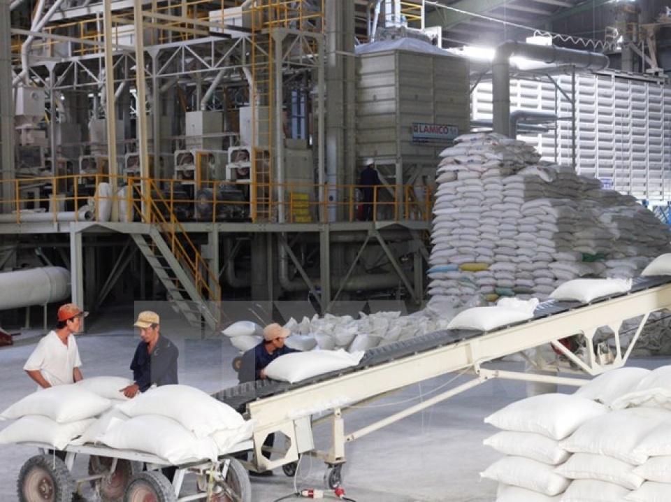 tai tro hon 67 trieu bang cho phat trien lua gao ben vung