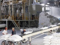 tao ra cuoc cach mang de gao viet nam dap ung tot hon nhu cau cua the gioi