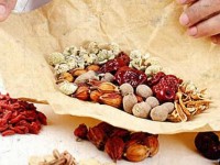 tp ha noi day manh phat trien y hoc co truyen