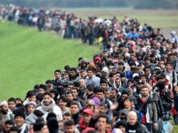 italy bat 38 ke tinh nghi buon nguoi